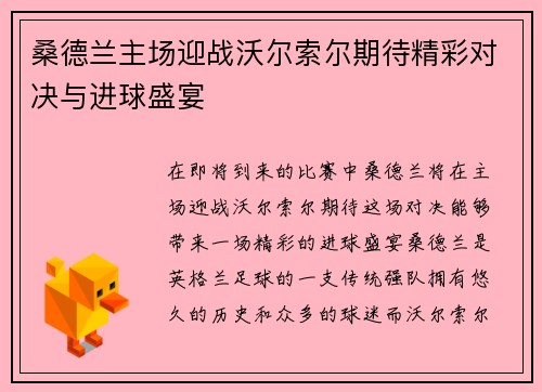 桑德兰主场迎战沃尔索尔期待精彩对决与进球盛宴