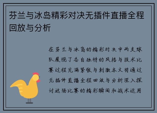 芬兰与冰岛精彩对决无插件直播全程回放与分析