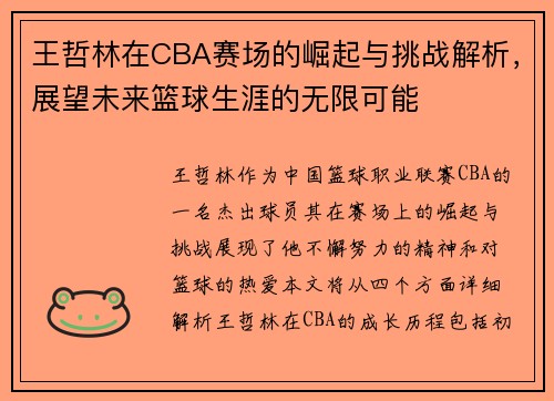 王哲林在CBA赛场的崛起与挑战解析，展望未来篮球生涯的无限可能