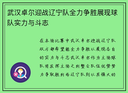 武汉卓尔迎战辽宁队全力争胜展现球队实力与斗志